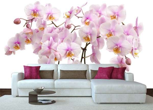 Фотообои с орхидеями - фото