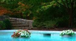 Плавающие клумбы Как сделать миниатюрный сад на воде своими руками - фото